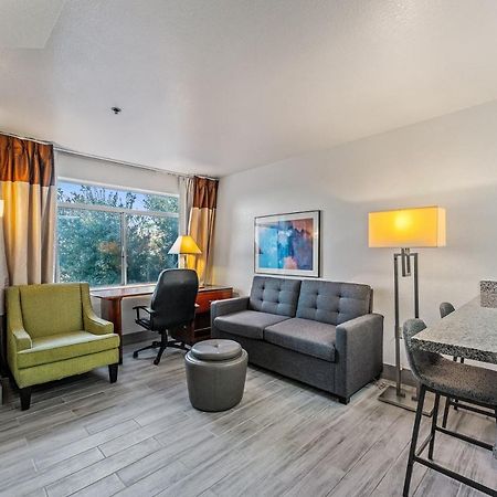 Chandler 1 Bd 1 Ba Fully Renovated Premium Lux Apartment Pets Allowed מראה חיצוני תמונה
