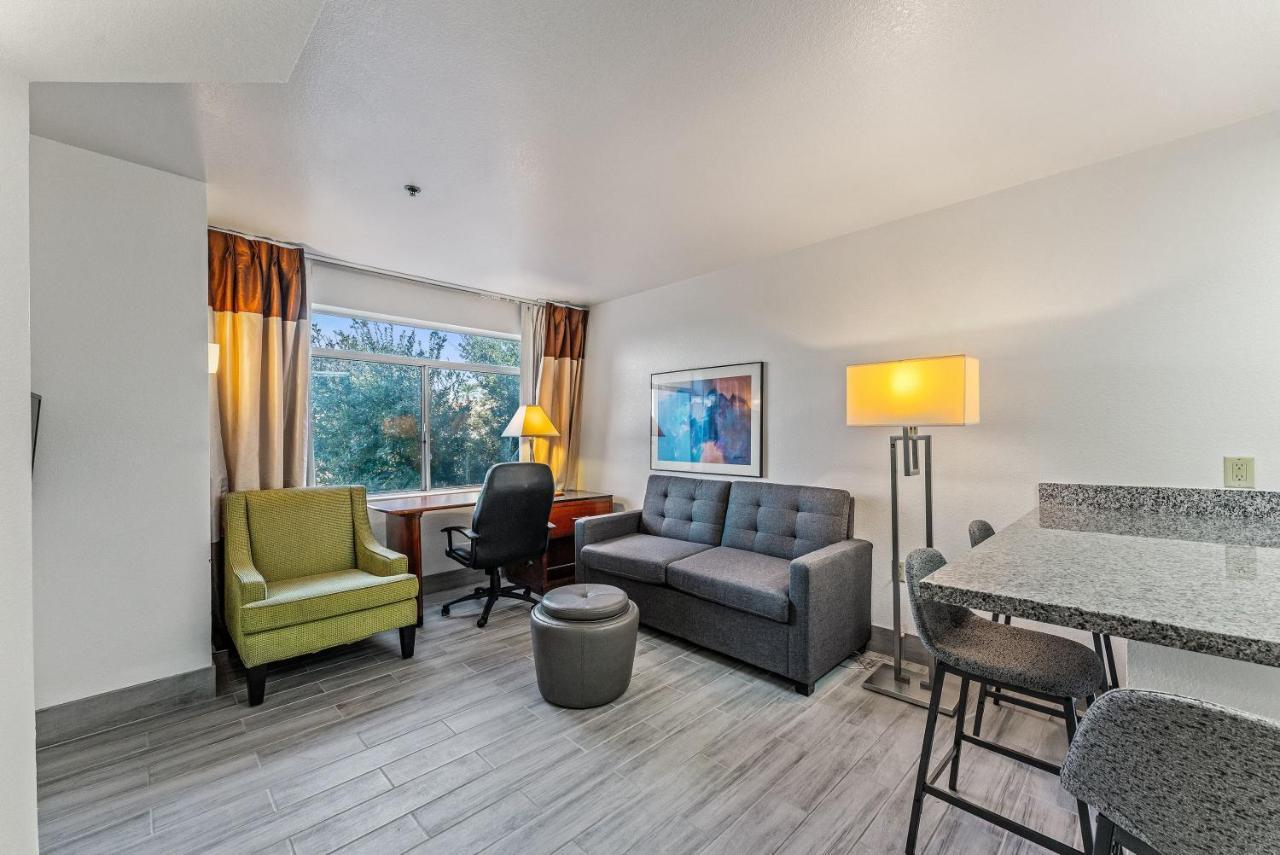 Chandler 1 Bd 1 Ba Fully Renovated Premium Lux Apartment Pets Allowed מראה חיצוני תמונה